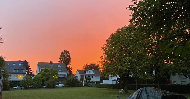 Die Gemeindewiese mit Bäumen vor einem orangefarbenen Sonnenaufgangshimmel, im Hintergrund stehen Wohnhäuser.