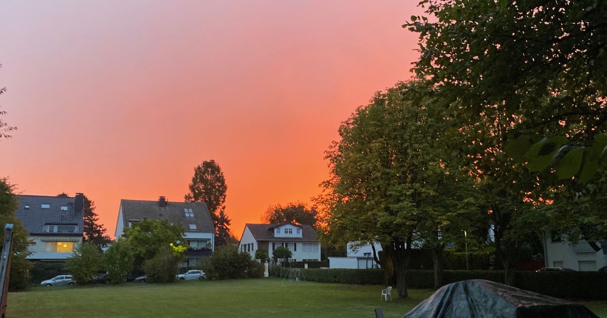 Die Gemeindewiese mit Bäumen vor einem orangefarbenen Sonnenaufgangshimmel, im Hintergrund stehen Wohnhäuser.