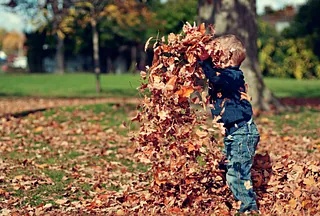 Auf einer Wiese spielt ein Kind im Herbstlaub und wirft die Blätter in die Luft.