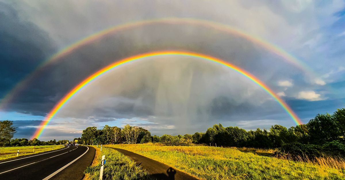 Doppelter Regenbogen über einer Landstraße mit grünen Bäumen und gelben Wiesen unter bewölktem Himmel.