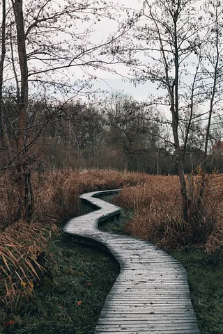 Ein geschwungener Holzsteg führt durch herbstliche Wiesen mit kahlen Bäumen im Hintergrund.