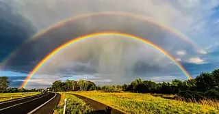 Regenbogen