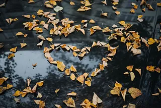 Herbstblätter liegen auf der Windschutzscheibe eines Autos. Sie sind geformt zu einem Herz.